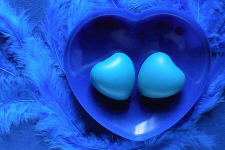 two blue hearts on blue bird feathers in trendy color of year 2020 on classic blue background. Copy space.の写真素材