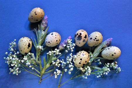 Easter concept. Quail eggs on a blue background. Lavender flowers.
Trendy color 2020. Top view. Copy spaceの写真素材