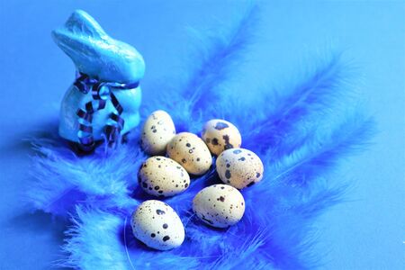 Easter concept. Quail eggs and blue rabbit on blue bird feathers in trendy color on a blue background.
Trendy color 2020. Top view. Copy spaceの写真素材
