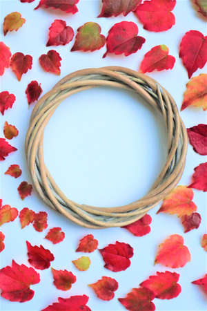 Wreath made of autumn flowers and leaves on white background. Autumn composition. Flat lay, copy...