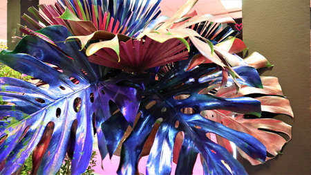 Colorful neon pink, purple and blue monstera leaves on abstract background. Trendy creative concept....