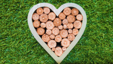 Valentine's Day Background. wooden heart on green grass. Flat lay. Copy space. bannerの写真素材