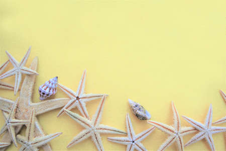 Seashells and starfish on yellow background. flat lay. copy space Vacation holiday concept. Summer backgroundの写真素材