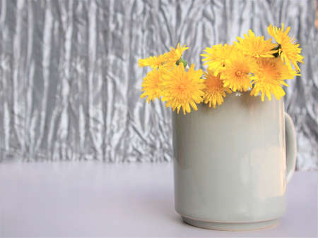 spring concept. Beautiful floral arrangement of yellow flowers dandelions in a gray mug on a gray background with copyspace. Color of 2021の写真素材