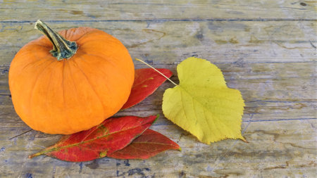 Natural autumn fall view pumpkin on wooden background. Change of seasons, ripe organic food concept. Halloween party. thanksgiving day. autumn background.の写真素材