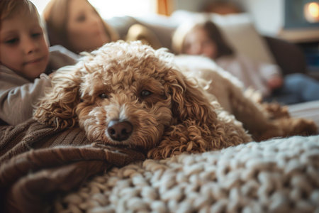 Golden retriever puppy napping on a blanket with blurred background of children playing, capturing a serene home momentの素材