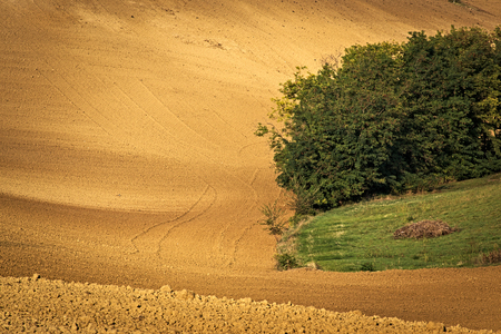 field cultivated in preparation of the harvestの写真素材