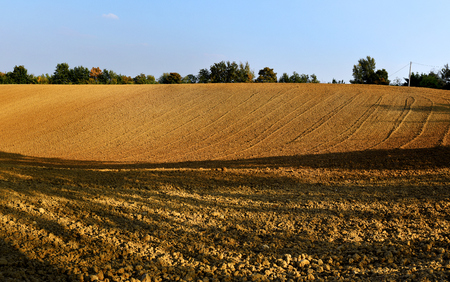 field cultivated in preparation of the harvestの写真素材