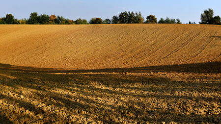 field cultivated in preparation of the harvestの写真素材