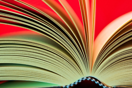 the pages of an open bookの写真素材