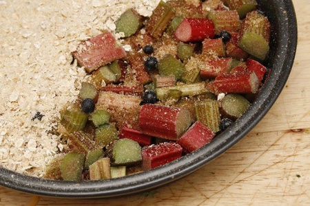 homemade rhubarb and sloe berry crumbleRheum rhabarbarumPrunus spinosaの写真素材
