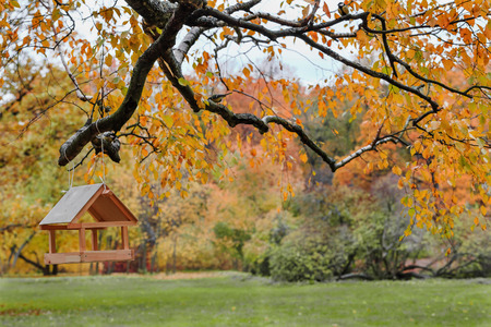 House for the birds, in the house is a sparrow.の写真素材