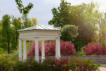 Spring. Sunny day.Park with blossoming apple trees and a gazebo.の写真素材