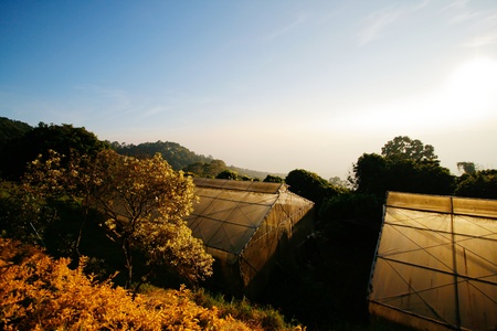 Autumn Viewの写真素材