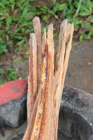 Firewoodの写真素材