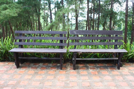 wood chairs in garden
