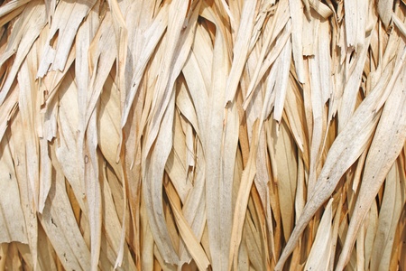 Thatched textureの写真素材