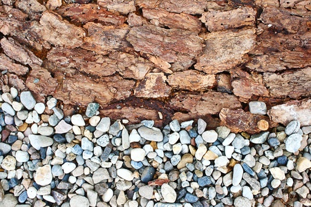 rock bark textureの写真素材