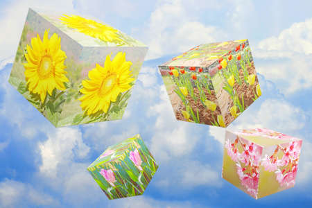flower box in sky