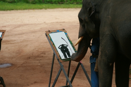 Elephant show in Thai Elephant Conservation Centerのeditorial素材