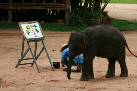 Elephant show in Thai Elephant Conservation Centerのeditorial素材