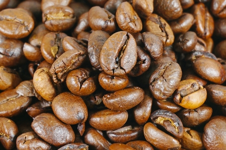 coffee seedの写真素材