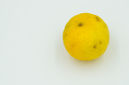 lemon isolatedの写真素材