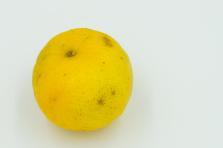 lemon isolatedの写真素材