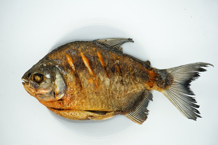Deep fried pomfret from thailand delicious thai foodの写真素材