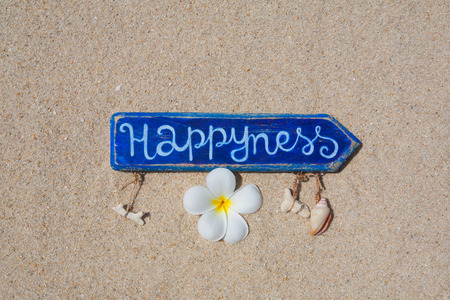 Blue handmade arrow with frangipani flower on the sand. Top view.の写真素材