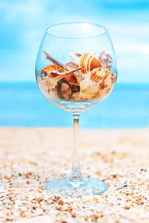 sea shells in cocktail glass on the beachの写真素材