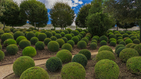 Garden next to the Amboise castle.の写真素材