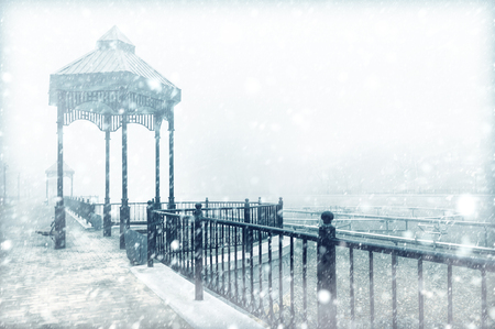 Winter landscape in the park.の写真素材