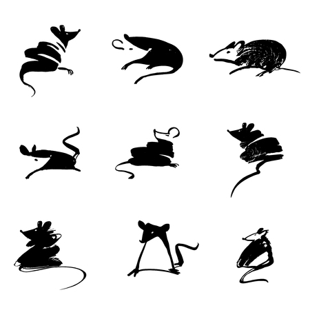 Set different pose mouse, rat isolated on whiteのイラスト素材