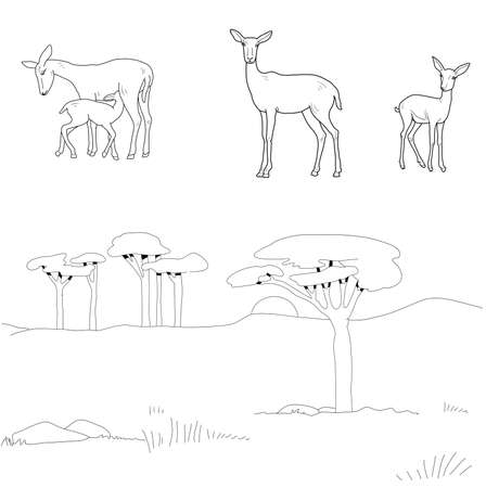 Sketch of the African savanna. Vector set of antelopesのイラスト素材