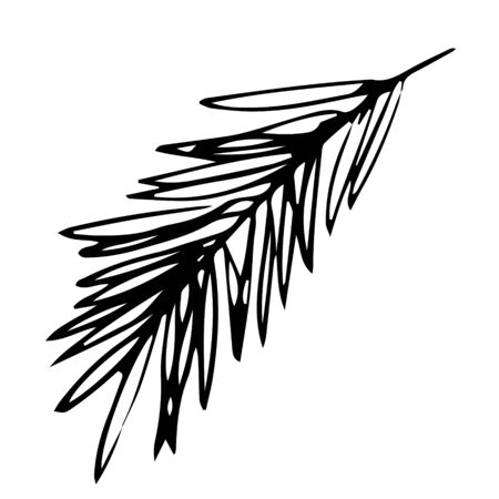 Single hand drawn exotic tropical leaf. In doodle style, black outline isolated on a white background. Cute element for cards, posters, social media banners, stickers. Vector illustration.のイラスト素材