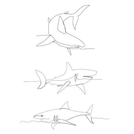 vector, isolated, shark continuous line drawingのイラスト素材