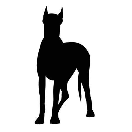 white background, icon, black silhouette of a dog standingのイラスト素材