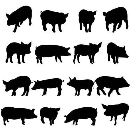 a collection of silhouettes of a pigのイラスト素材