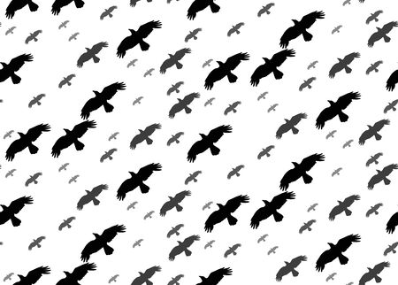 seamless background with silhouette of flying birds on a white backgroundのイラスト素材