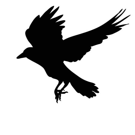 silhouette of flying birdのイラスト素材