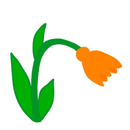 isolated flower on white backgroundのイラスト素材