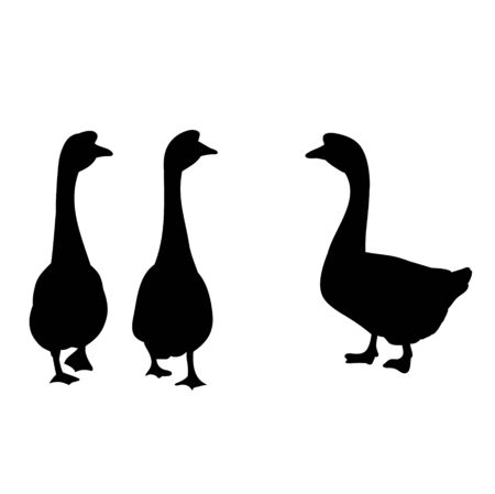  white background silhouette of geeseのイラスト素材