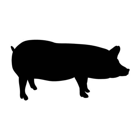 isolated silhouette of a pigのイラスト素材