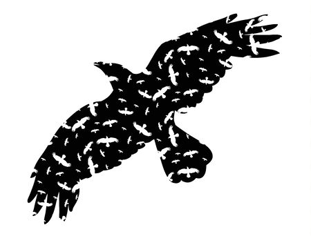 isolated silhouette of flying birdのイラスト素材