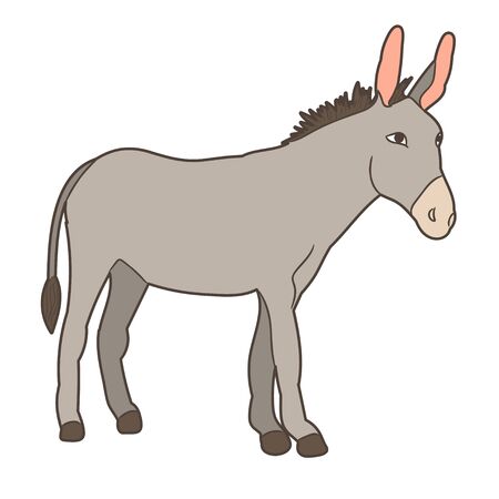 gray donkey standing on white backgroundのイラスト素材