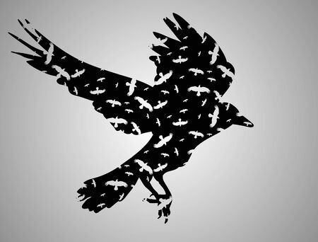 isolated silhouette of flying birdのイラスト素材