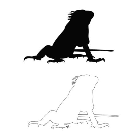 vector, isolated silhouette of a lizard on a white backgroundのイラスト素材