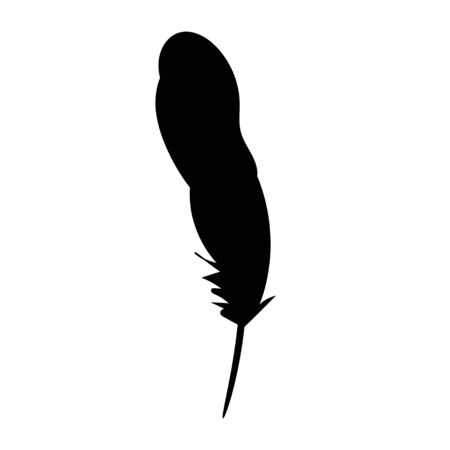 vector, isolated silhouette of bird feathers, oneのイラスト素材