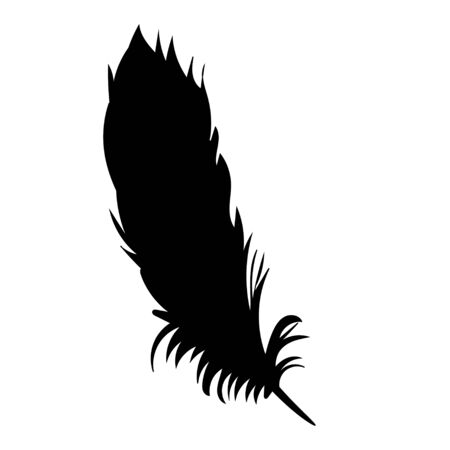 vector, isolated silhouette of bird feathersのイラスト素材